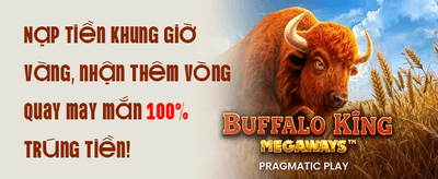 Online casino experience at FCB8